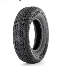 Royal Black Royal Winter 165/70 R13
