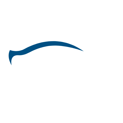 Shanel Auto