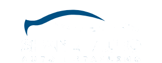 https://shanelauto.ch/wp-content/uploads/2025/05/Untitled-design-23-320x125.png